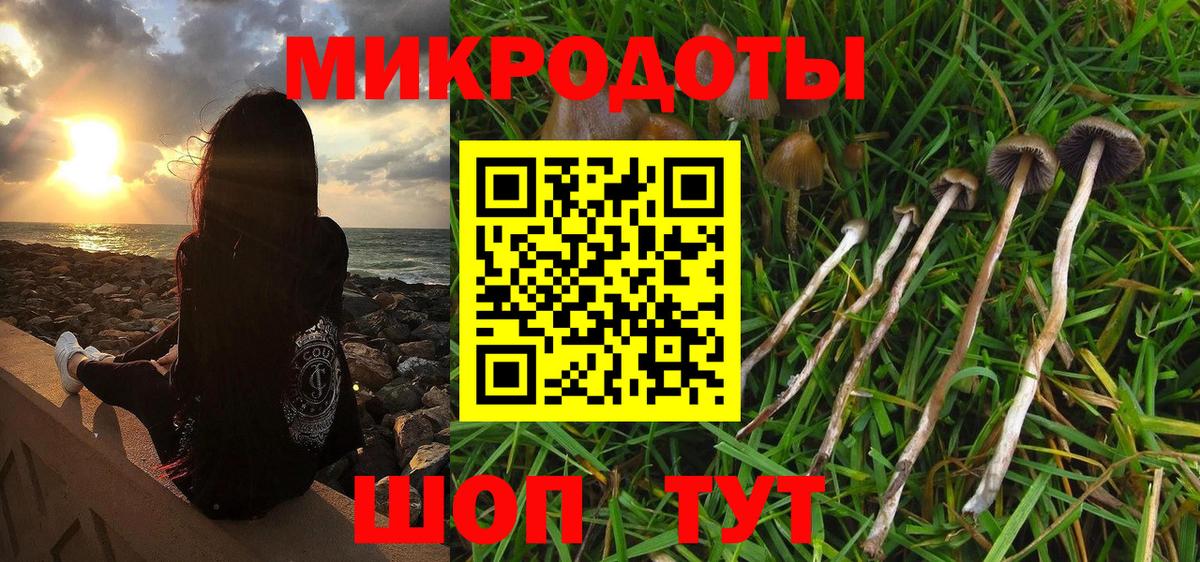 Тимашёвск  Галлюциногенные грибы Magic Shrooms  купить   Вход с VPN  Галлюциногенные грибы прущие грибы 