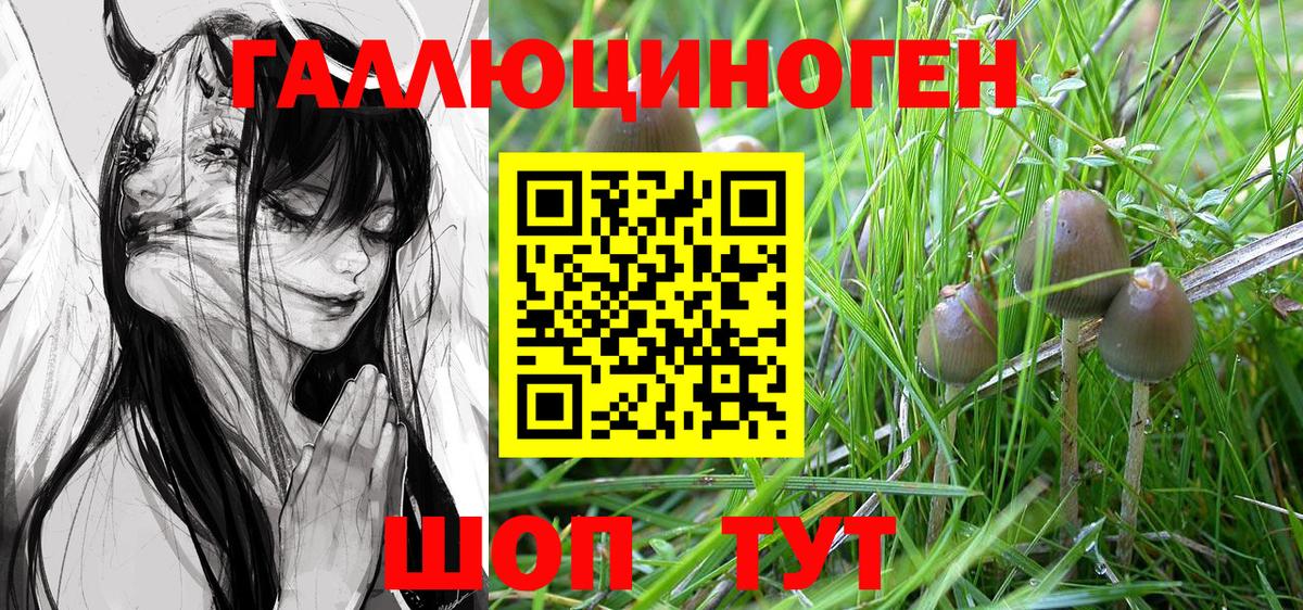 Псилоцибиновые грибы MAGIC MUSHROOMS Тимашёвск